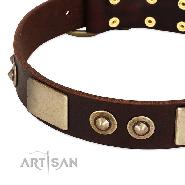 Tremendous brown leather dog collar with riveted
decorations