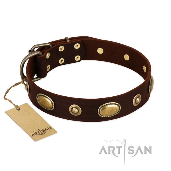 Brown Leather Dog Collar with Polished Edges