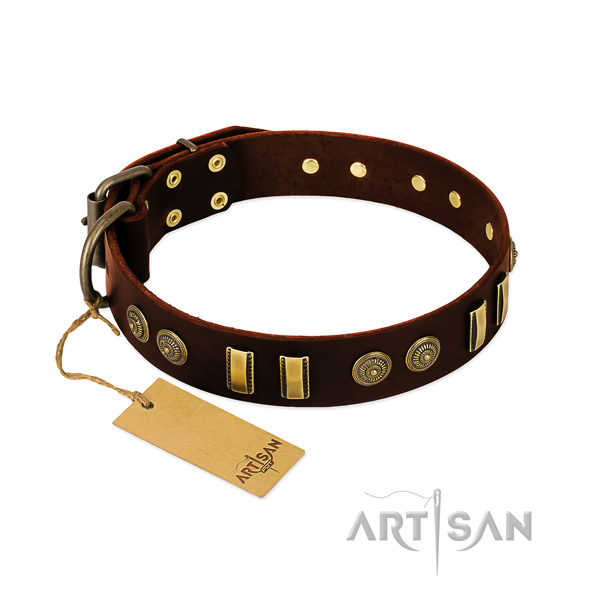 Brown leather dog collar with firmly attached circles and plates