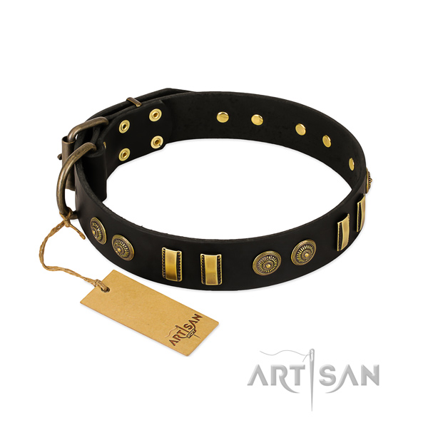 Black leather dog collar with firmly attached studs and plates