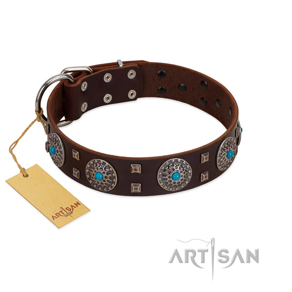 Stylish brown leather dog collar with round conchos and studs