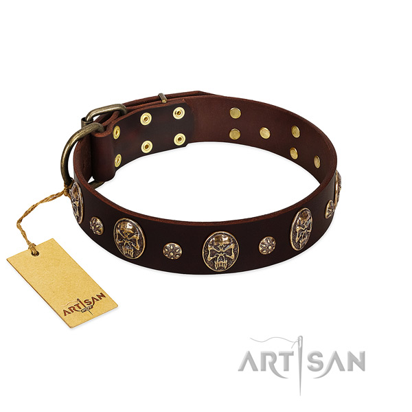Brown handmade Artisan leather dog collar