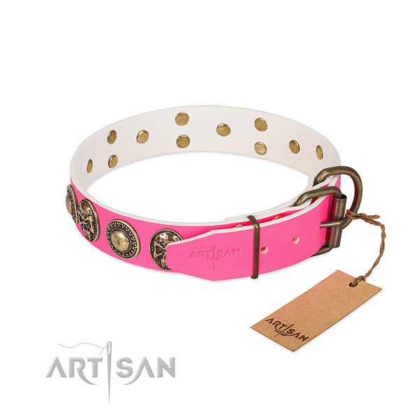 Pink leather dog collar with polished fittings