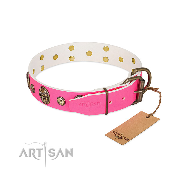 Pink dog collar with traditional buckle