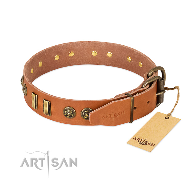 Tan leather dog collar with strong and reliable hardware