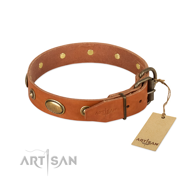 Adjustable Leather Dog Collar with Dependable Fittings