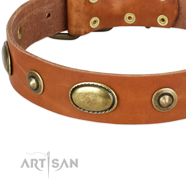 Elegant Leather Dog Collar with Bronze-Like Plated Decorations