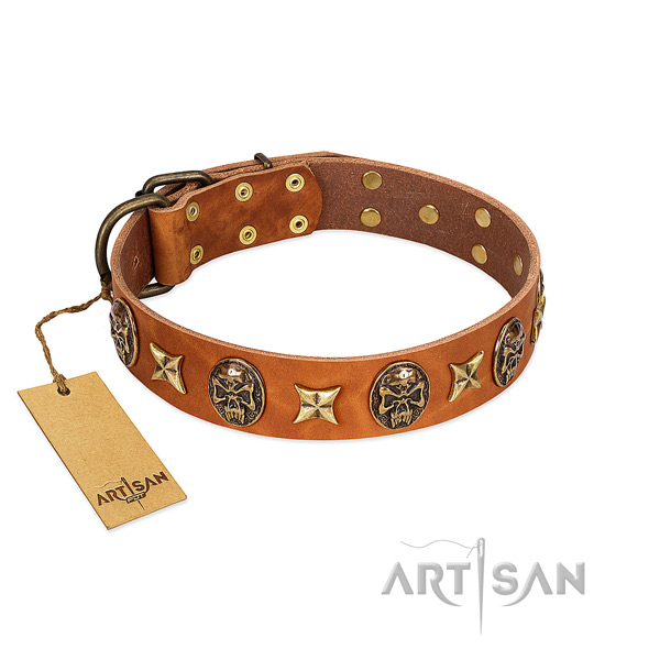 Handmade Artisan leather dog collar at affordable price