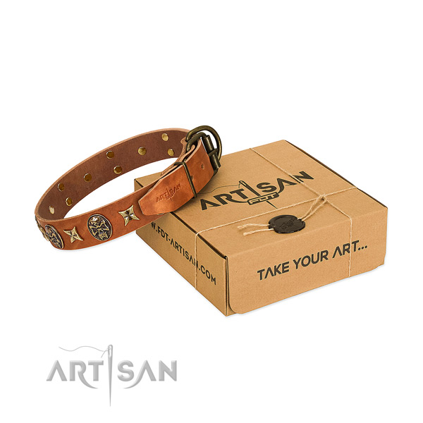 Tan leather dog collar with extraordinary set of
decorations of amazing quality
