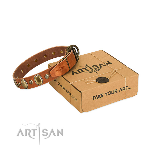 Handmade tan leather dog collar to stand out among other
dogs
