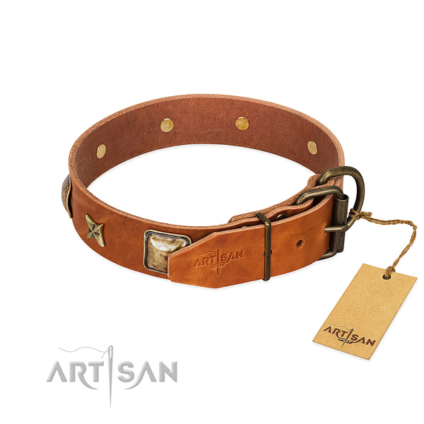 Tan dog collar with old bronze-like hardware