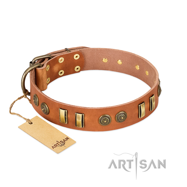 Tan leather dog collar with riveted circles and plates