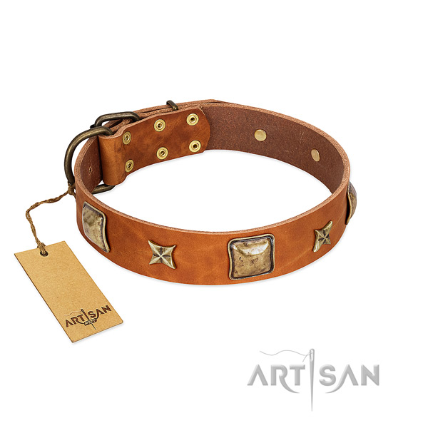 Tan Artisan leather dog collar for safe walks