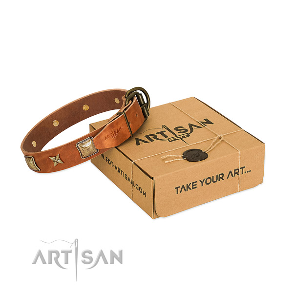 Elegant tan leather dog collar with riveted adornments