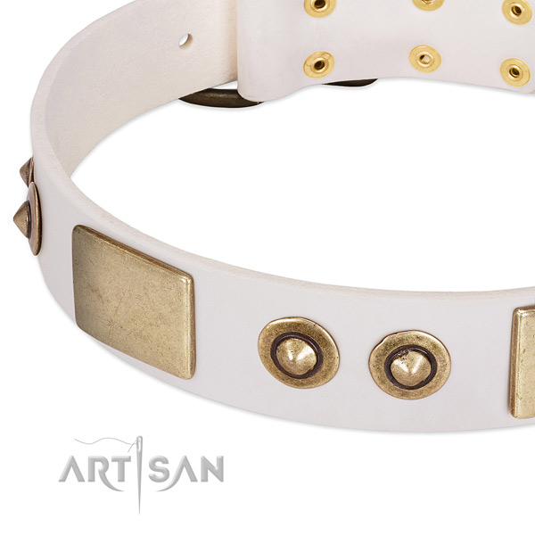 White Dog Collar with Extraordinary Mix of Decor