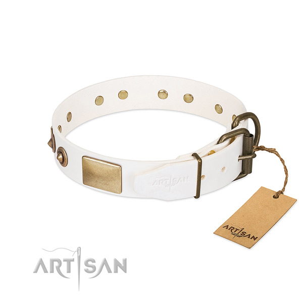 Leather Dog Collar with Carefully Riveted Hardware