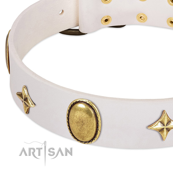 Stars and oval plates look great on white leather dog collar