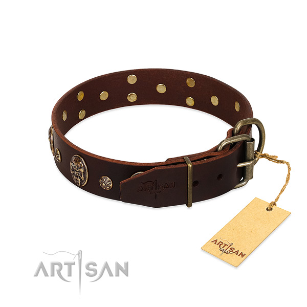 Brown dog collar with old bronze-like fittings