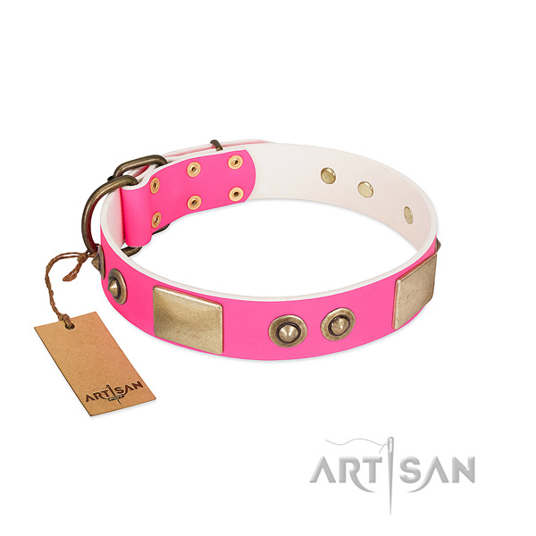 Designer Pink Leather Dog Collar for Walking in Style