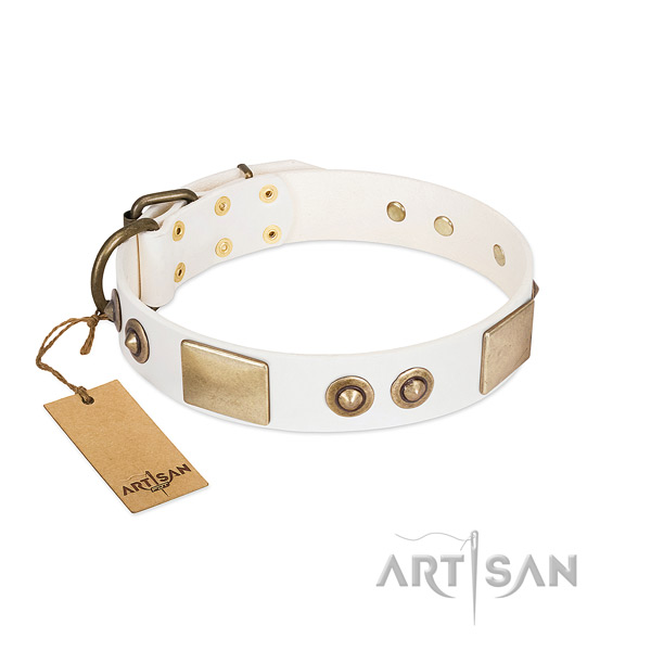 White Leather Dog Collar for Daily Wear