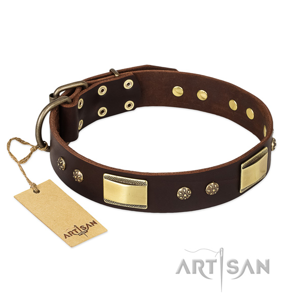 Designer Leather Dog Collar