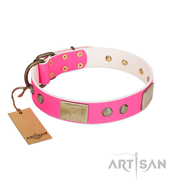Trendy pink leather dog collar for walking