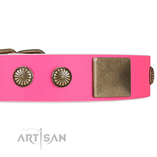 Bright pink leather dog collar for lady dogs