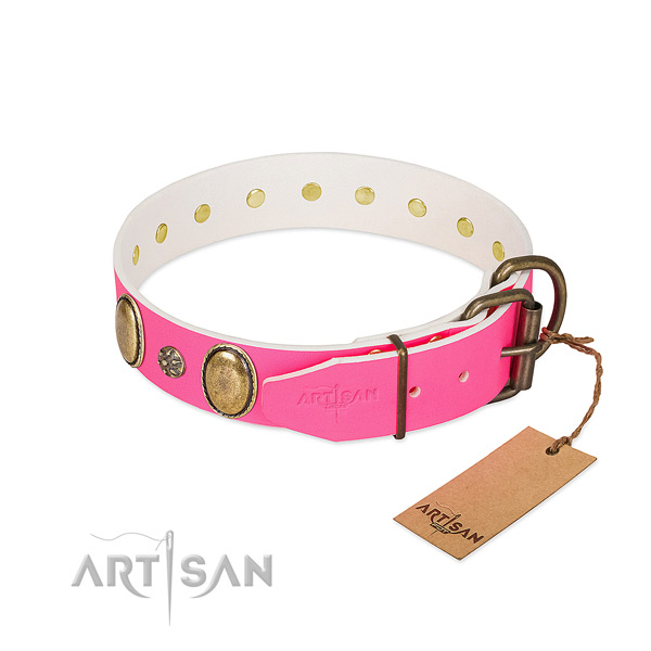 Daily walking Artisan leather dog collar