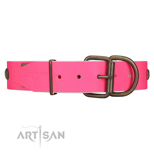 Leather dog collar with strong hardware for daily use