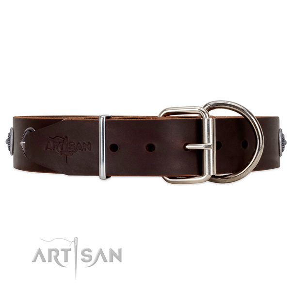 Unique style Brown leather dog collar with tough
fittings