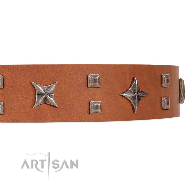 Luxurious leather dog collar with extremely stylish decorations