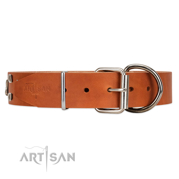 Wear-proof leather dog collar with traditional buckle