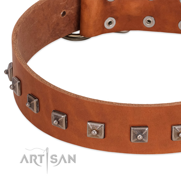 Adorned leather dog collar with chrome-plated steel studs