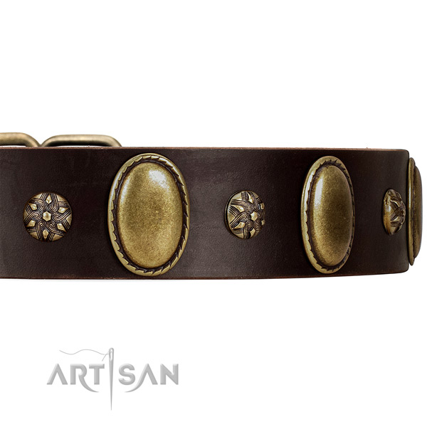 Daily Walking Dog Collar Decorated with Mix of Studs