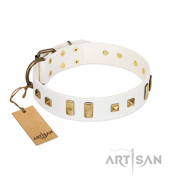 Designer White Leather Dog Collar Adorned with Plates and
Square Studs