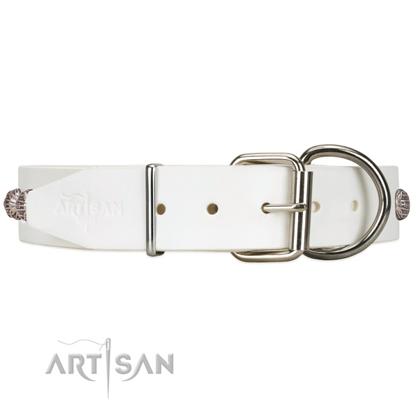 White dog collar with silver-like hardware for daily use