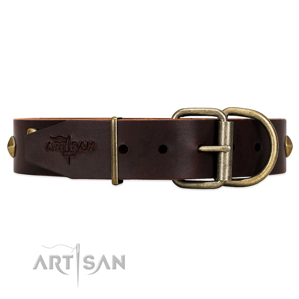 Brown leather dog collar with durable sturdy fittings