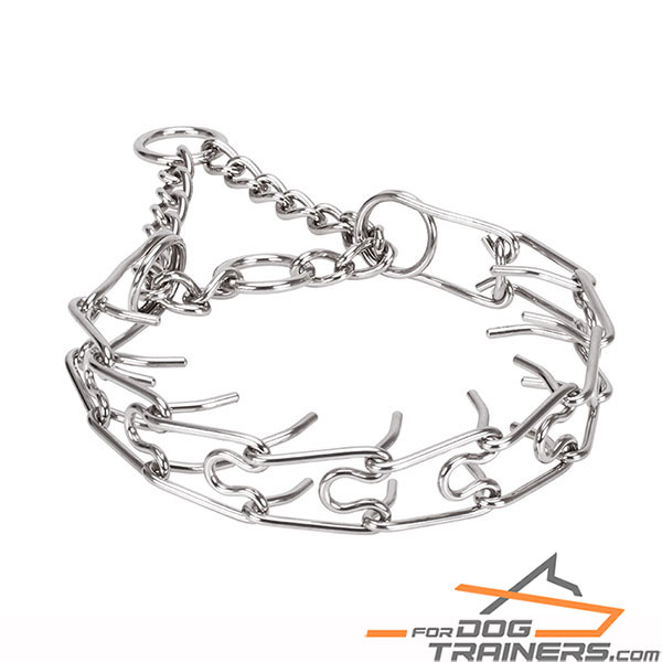 Chrome plated dog pinch collar for training