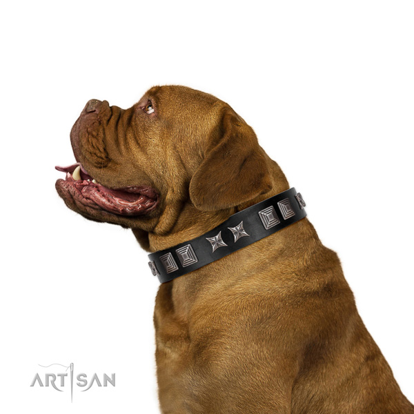 Extraordinary walking black leather Dogue de Bordeaux
collar with
cool decorations