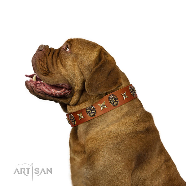 Awesome Dogue de Bordeaux Artisan leather collar for comfortable wear