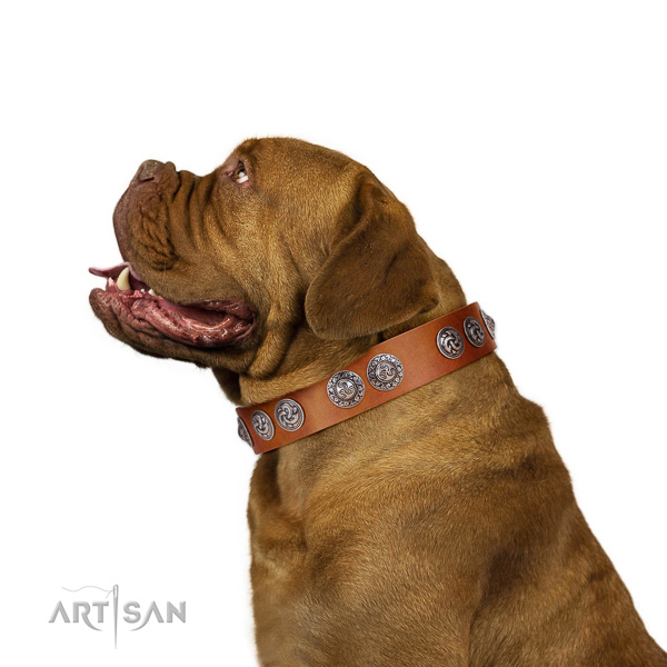 Adjustable full grain natural leather Dogue de Bordeaux collar with adornments