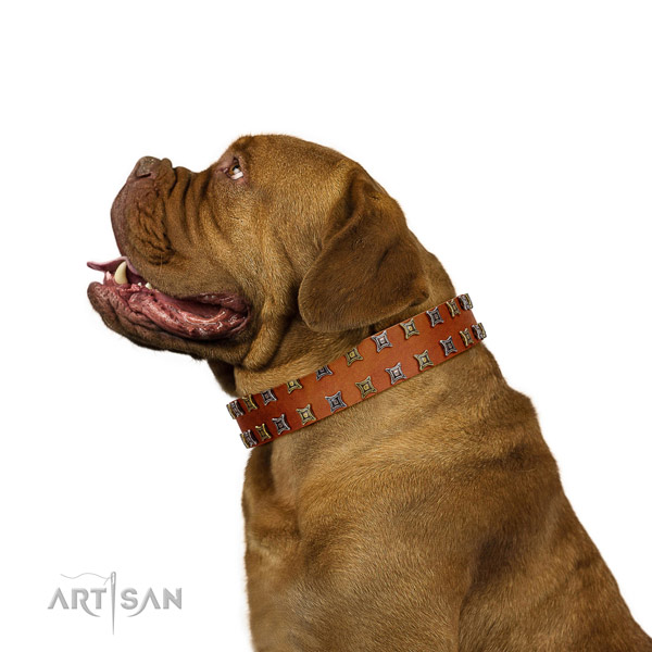 Dependable Dogue de Bordeaux Artisan leather collar for
pleasant pastime