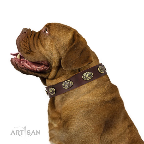 Dogue de Bordeaux stylish walking dog collar of flexible genuine leather