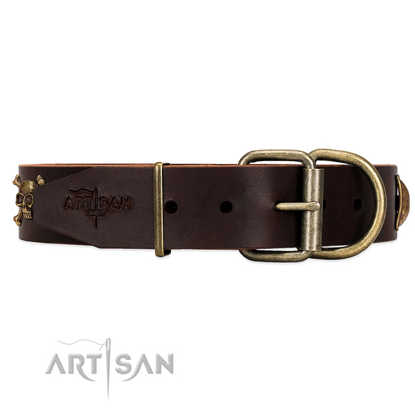 Perfect Fit Brown Leather Dog Collar with Classic Style Buckle