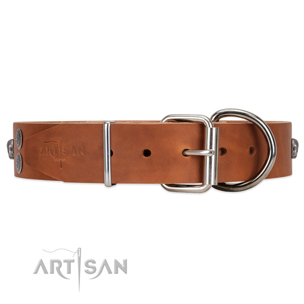 Easy to Fit Leather Dog Collar with Sturdy Buckle