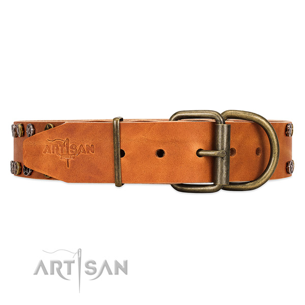 Adorned with Stars Tan Leather Dog Collar with Firm Buckle for Daily Wear