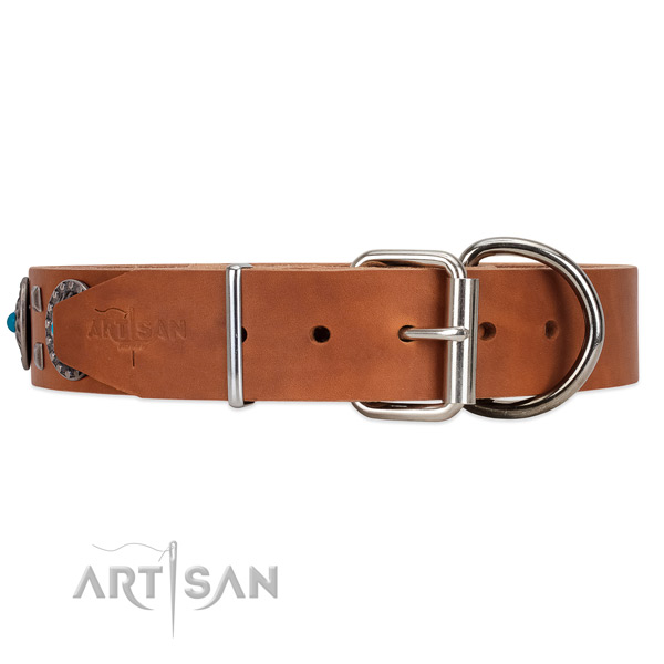 Tan leather dog collar with rust-resistant buckle closure