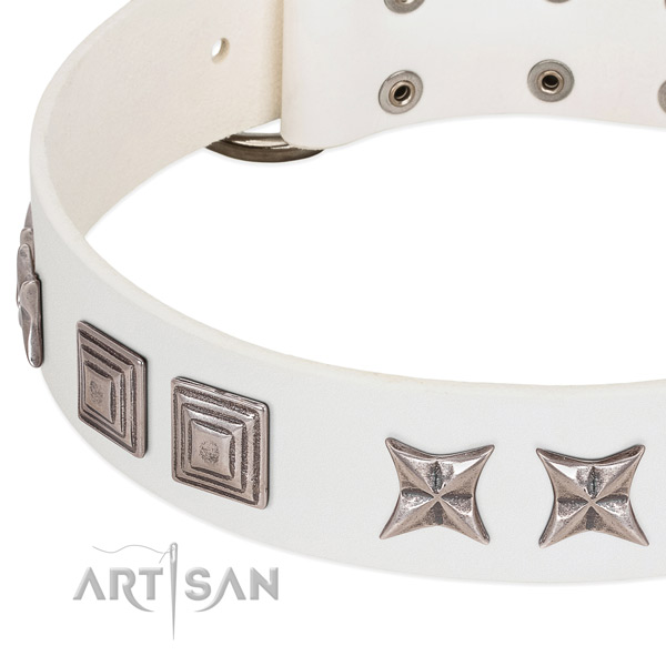 Extraordinary dog collar with combo of stars and plates