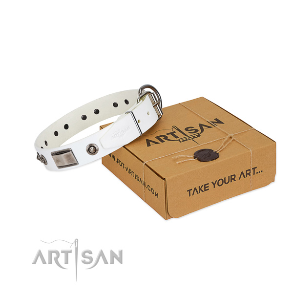 White leather dog collar for pleasant pastime