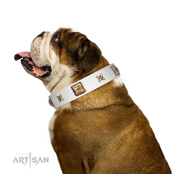 Premium quality English Bulldog Artisan leather collar
for comfortable wear